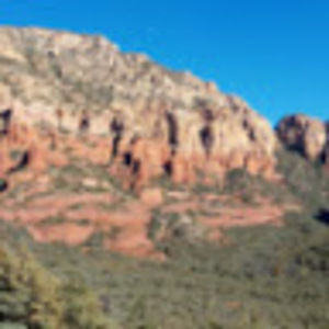 Meet your Posher, Trevor